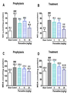 Attenuating effect of paroxetine on memory impairment following cerebral ischemia-reperfusion injury in rat: The involvement of 